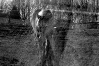 JG Images Edits not final 2024-5