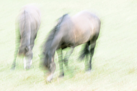 Jennifer Glassman Photography - Sweden 201420_edited-1