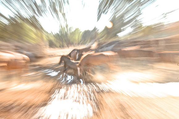 Jennifer Glassman Photography 2013  27391_edited-1