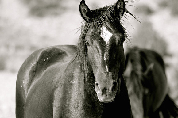 Jennifer Glassman Photography 2014 32  2014-06-13