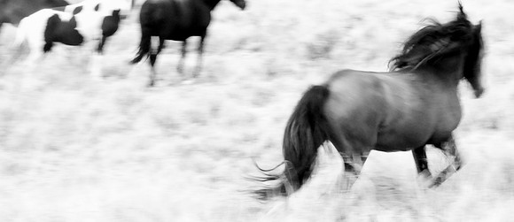Jennifer Glassman Photography 2014 25  2012-08-14