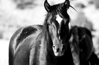 Jennifer Glassman Photography 2014 16  2012-08-12