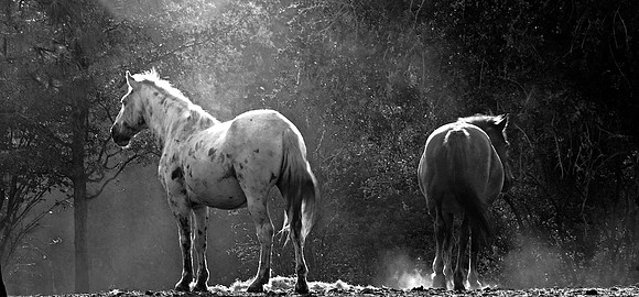 Jennifer Glassman Photography 2014 29  2013-08-18