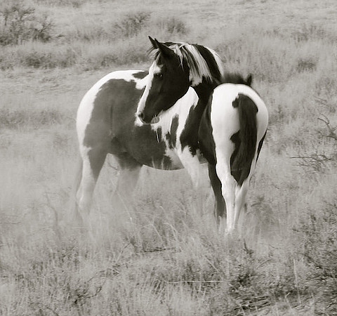 Jennifer Glassman Photography 2014 37  2014-06-13