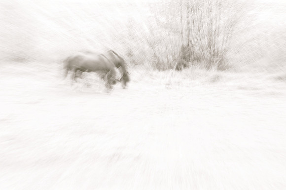 Jennifer Glassman Photography Stockholm Series 2014 3  2014-08-11