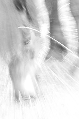 Jennifer Glassman Photography Stockholm Series 2014 12  2014-08-11