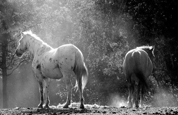 Jennifer Glassman Photography 2014 30  2013-08-18