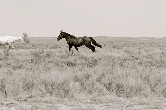 Jennifer Glassman Photography 2014 34  2014-06-13