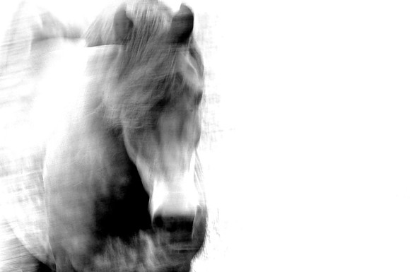 Jennifer Glassman Photography Stockholm Series 2014 6  2014-08-11