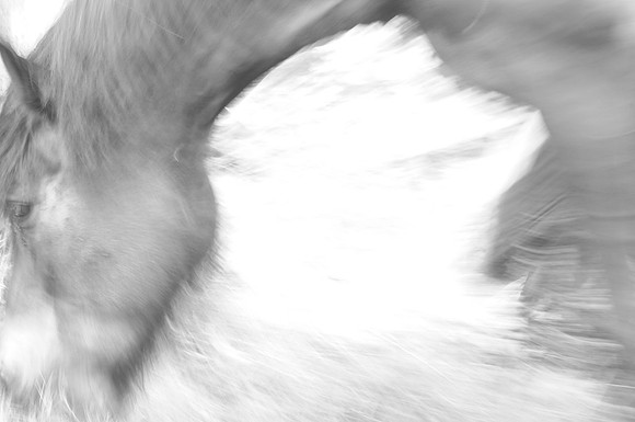 Jennifer Glassman Photography Stockholm Series 2014 14  2014-08-11