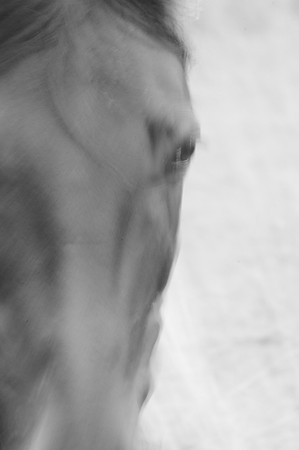 Jennifer Glassman Photography Stockholm Series 2014 9  2014-08-11