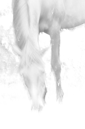 Jennifer Glassman Photography Stockholm Series 2014 15  2014-08-11