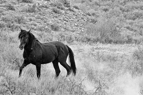 Jennifer Glassman Photography 2014 36  2014-06-13