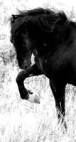 Jennifer Glassman Photography 2014 20  2012-08-14