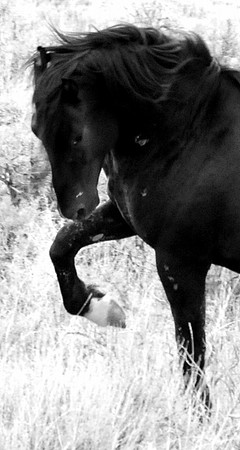 Jennifer Glassman Photography 2014 20  2012-08-14