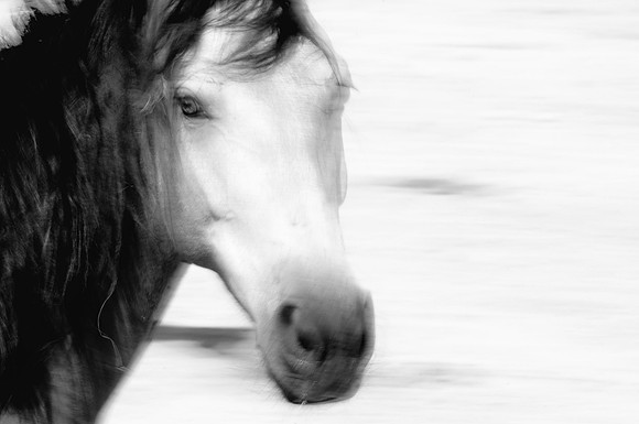 Jennifer Glassman Photography 2014 7  2011-09-15