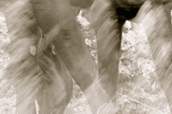 Jennifer Glassman Photography Stockholm Series 2014 13  2014-08-11