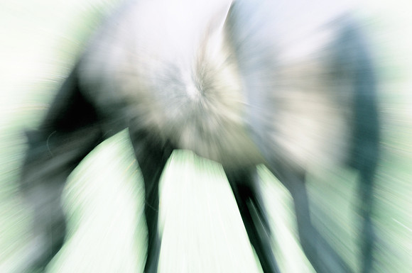 Jennifer Glassman Photography Stockholm Series 2014 8  2014-08-11