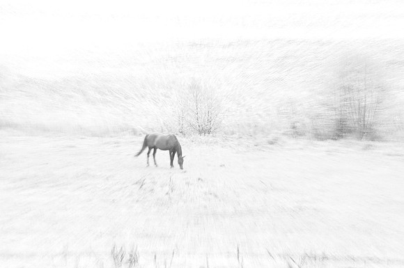 Jennifer Glassman Photography Stockholm Series 2014 5  2014-08-11