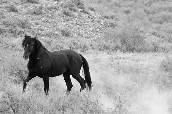 Jennifer Glassman Photography 2014 35  2014-06-13