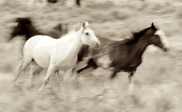 Jennifer Glassman Photography 2014 23  2012-08-14