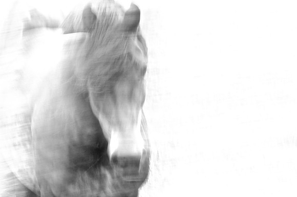 Jennifer Glassman Photography Stockholm Series 2014 7  2014-08-11