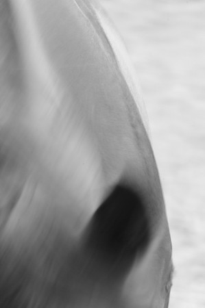 Jennifer Glassman Photography Stockholm Series 2014 10  2014-08-11