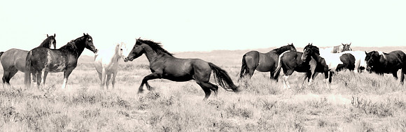 Jennifer Glassman Photography 2014 19  2012-08-12