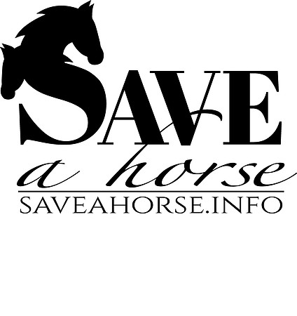saveahorsewinfo
