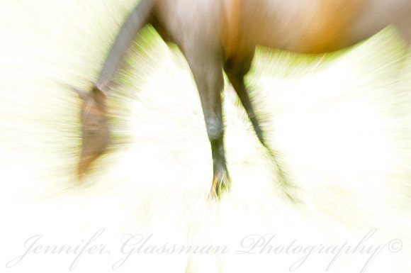 Jennifer Glassman Photography Stockholm Series 2014 47826