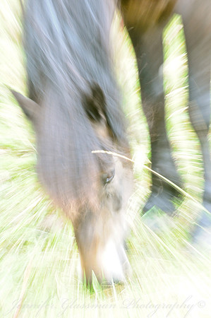 Jennifer Glassman Photography Stockholm Series 2014 47820