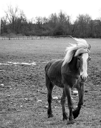 JGPhoto-8