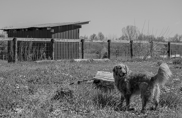 JGPhoto-11