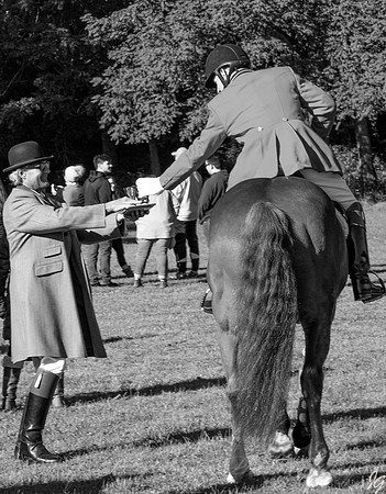 JGImages Metamora Hunt 9-19-2020-3