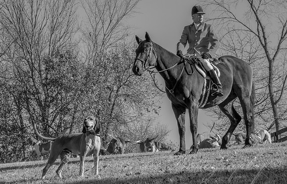 Metamora Hunt 11-4-2020-23
