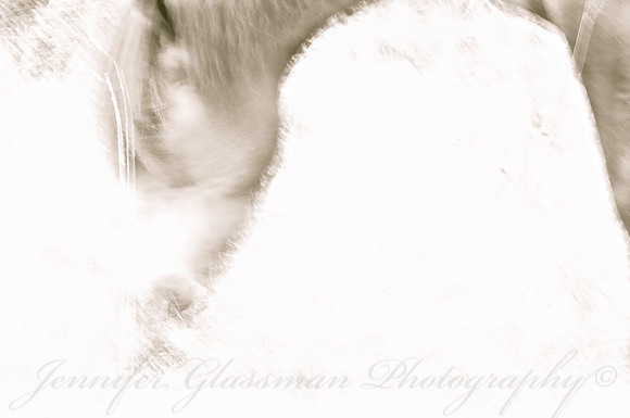Jennifer Glassman Photography Stockholm Series 2014 47829