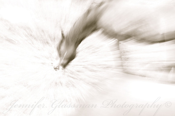 Jennifer Glassman Photography Stockholm Series 2014 47827