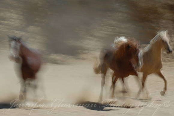 Encounter II