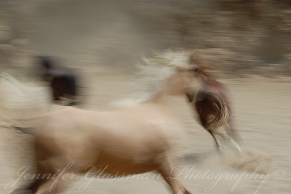 Encounter III